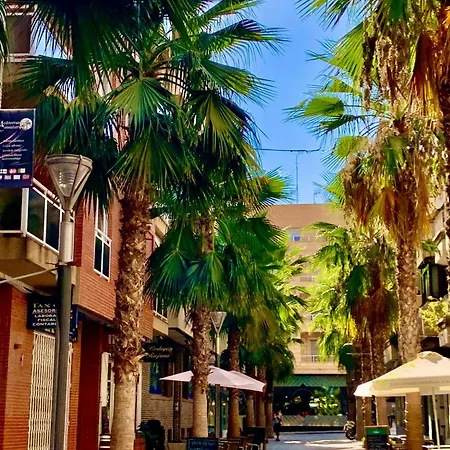 Canonigo Palmeras Center