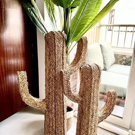 Apartment Canonigo Palmeras Center *